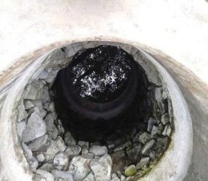 Trải Nghiệm Qua Những Chuyến Đi Vân Du - Hội Long Hoa